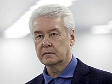 Собянин: восточный участок БКЛ готов на 93%