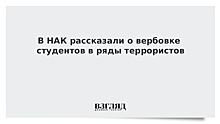 В НАК рассказали о вербовке студентов в ряды террористов