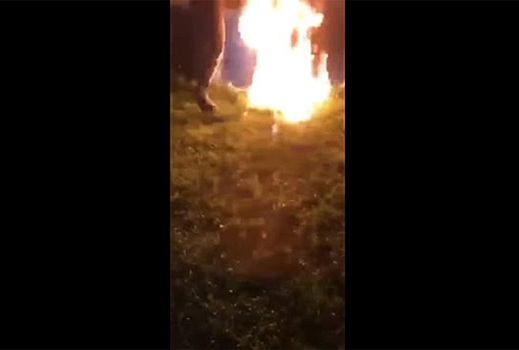 Жители Подмосковья пытались приготовить шашлык, устроили пожар и попали на видео