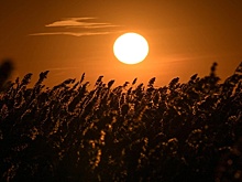 Стало известно, когда над Землей взойдет самое крупное Солнце