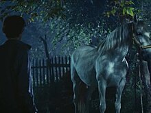 "Тарлан": как мальчик c жеребенком дружил