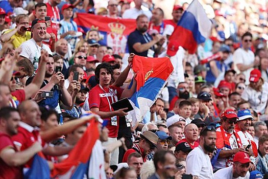 Вице-президент Федерации футбола Сербии поблагодарил россиян за поддержку на ЧМ
