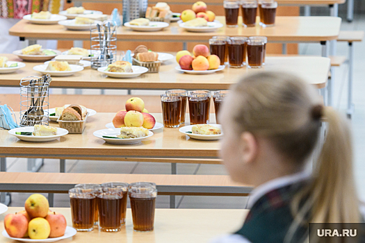На горячее питание в школах РФ направили 185 миллиардов рублей