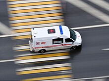 В Петербурге из-за упавшего во время урагана дерева погибла женщина