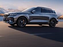 Белорусские дилеры снизили цены на Voyah Free 318