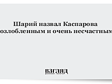 Шарий назвал Каспарова «озлобленным и очень несчастным»