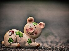 Свинокомплекс обанкроченного «Алтаймясопрома» сдали в аренду