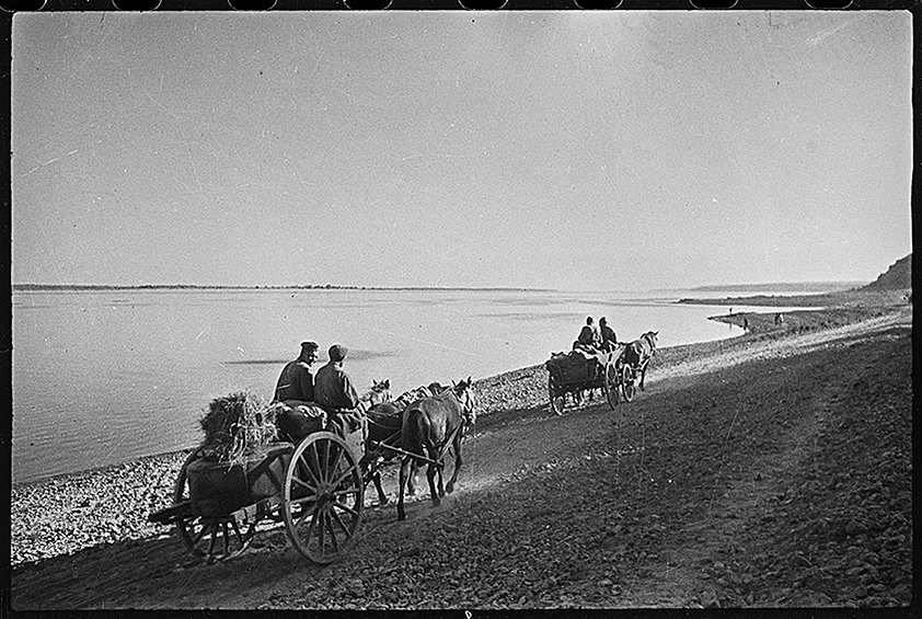 Подвоз боеприпасов. Под Сталинградом, 1942 год