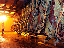 Россия ограничивает ввоз продукции с трёх предприятий Белоруссии