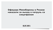 Офицера Минобороны в Рязани наказали за выход в патруль со смартфоном