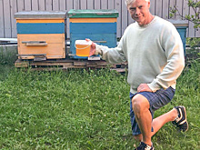 Депутат Гартунг показал свой первый урожай меда