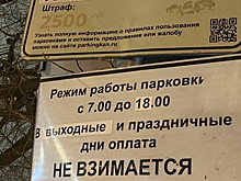 В Казани на проспекте Ямашева появится еще более 200 парковочных мест