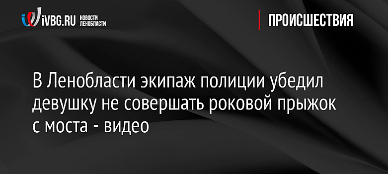 В Ленобласти экипаж полиции убедил девушку не совершать роковой прыжок с моста - видео