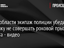 В Ленобласти экипаж полиции убедил девушку не совершать роковой прыжок с моста - видео