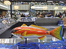 Почему рыбные дни в детском меню — инвестиция в интеллект и здоровье