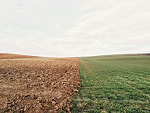 Без мигрантов нас бы не было: как человечество заселило Землю