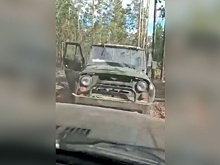 Опасный побег: в Бурятии «черным» лесорубам не удалось уйти задним ходом от погони лесников