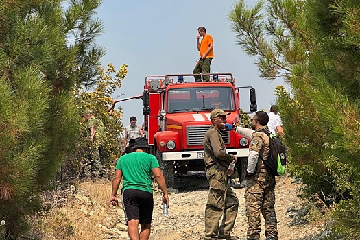 Под Геленджиком горит растительность на площади 4 га