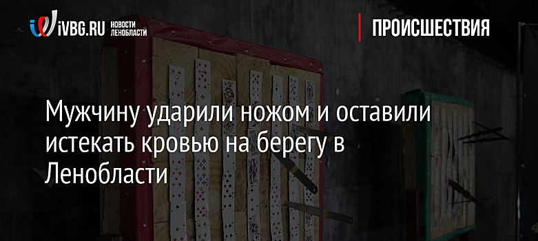 Мужчину ударили ножом и оставили истекать кровью на берегу в Ленобласти