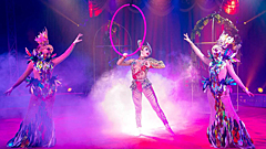 Поклонники не знают этого: изнанка жизни артистов без прикрас