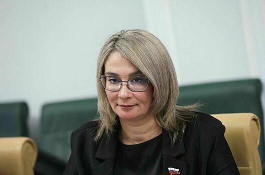 Снятие запрета на выезд из России из-за долгов предложили облегчить