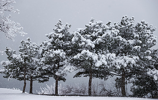 В Сочи объявили штормовое предупреждение из-за сильного снегопада