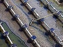 На ЗМЗ пришли с воздействием