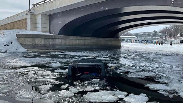 17-летний мальчик-герой спасает мужчину и его собаку после падения автомобиля с моста в ледяное озеро