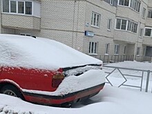 Кировчан-автолюбителей просят не мешать уборке снега