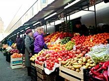 Свой овощ ближе. Обеспечат ли аграрии Приангарья местной продукцией жителей