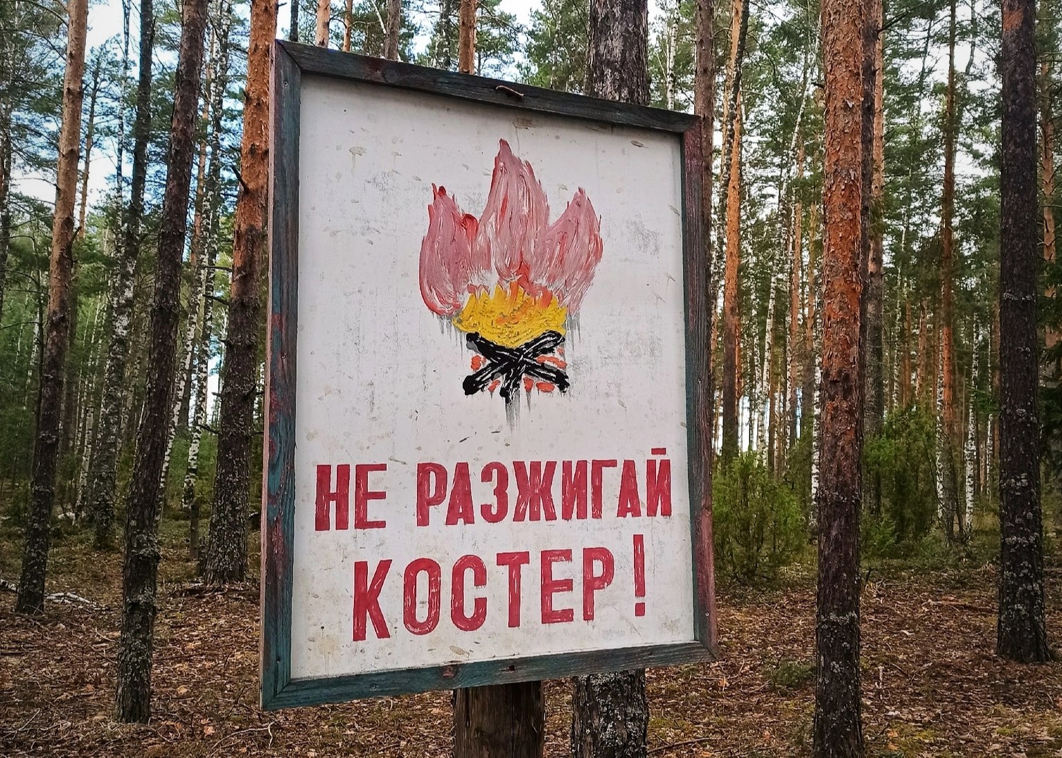 Особый противопожарный режим ввели в нижегородских лесах