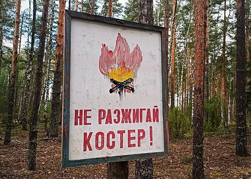 Особый противопожарный режим ввели в нижегородских лесах
