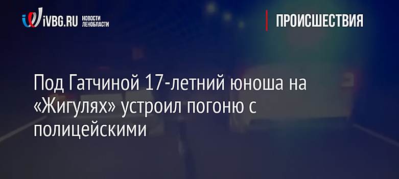 Под Гатчиной 17-летний юноша на «Жигулях» устроил погоню с полицейскими