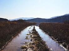 Сельхозземли в Хабаровском крае нуждаются в мелиорации