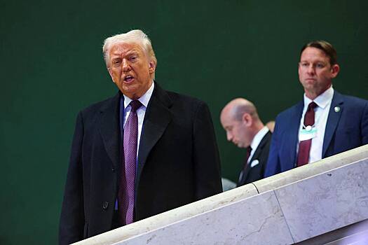 Названа настоящая цель Совета мира Трампа