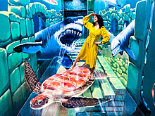 Арт-пространство на канатной дороге. В ЗАО открылся Музей оптических иллюзий