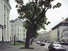 На Остоженке рухнули цены на жилье