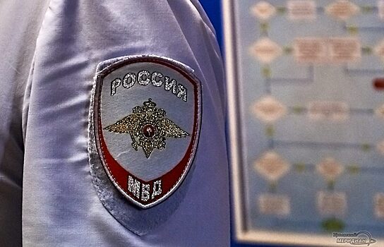 За прошедшую неделю в Зауралье произошло 227 преступлений