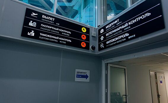 Биометрию тестировать начнут в Толмачево в 2021 году