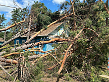 «Какое счастье, что закрыли»: мэр Белогорска показал разрушения от урагана в детском лагере