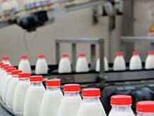 Ткачев заявил о возможности увеличения производства молока в Подмосковье до 2 млн тонн