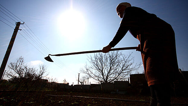 Дача стала проклятьем