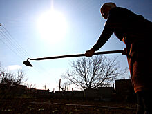 Дача стала проклятьем