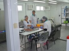 ​Сельхозкооперативы из пяти районов Забайкалья получили на развитие 1,7 млн рублей