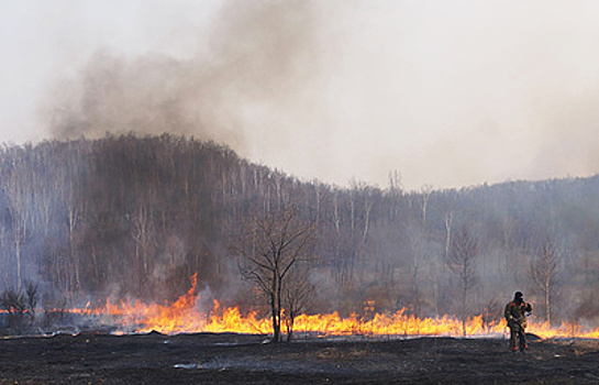 Режим ЧС введен в Сибири из-за природных пожаров