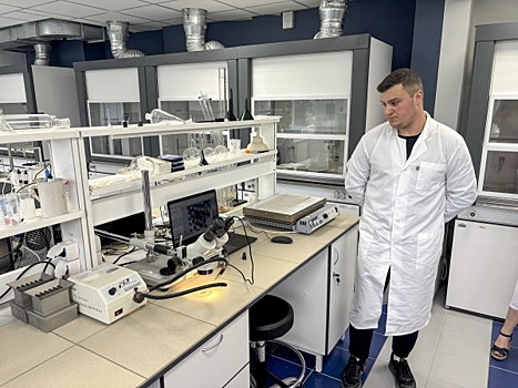 Нейронные тоннели: ученые нашли в мозге неизвестный путь для обмена сигналами