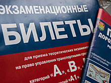 Национальный автомобильный союз предложил разрешить будущим водителям самим готовиться к теоретическому экзамену