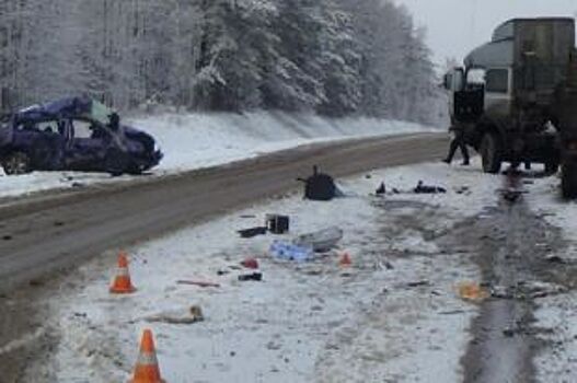 На трассе под Ульяновском «Киа» влетела в фуру: пострадали 2 человека