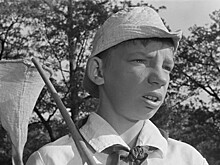 Бесплатные показы детских фильмов пройдут летом в столичной сети "Москино"