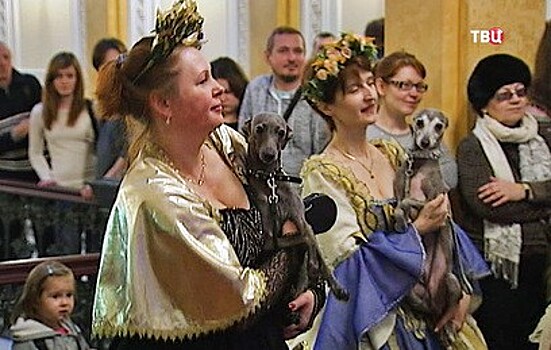 В Петербурге состоялся новогодний бал собак
